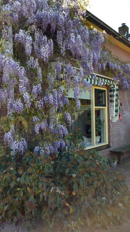B&B De Vlinder Hardenberg Eksteriør bilde
