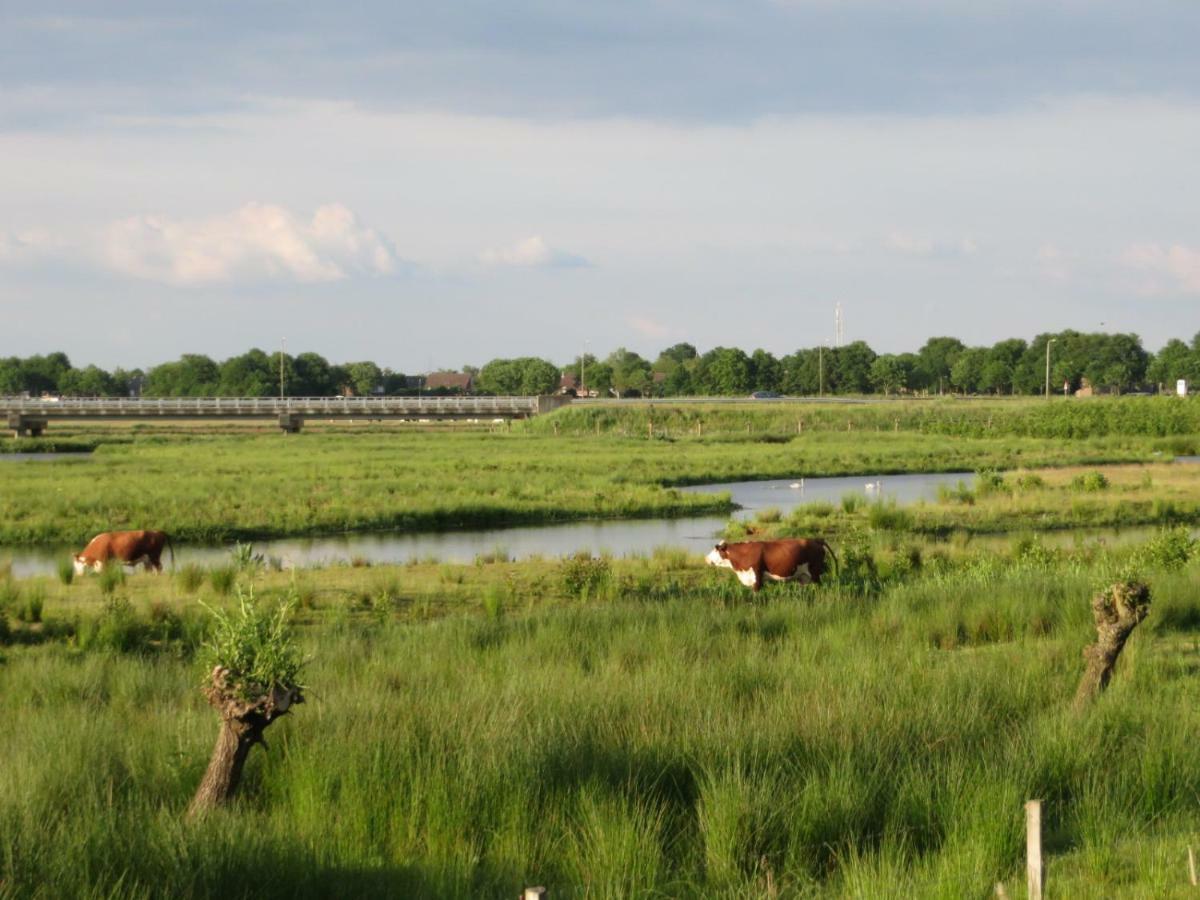 B&B De Vlinder Hardenberg Eksteriør bilde