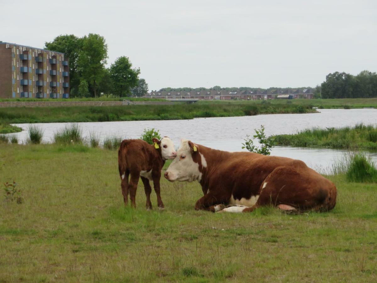 B&B De Vlinder Hardenberg Eksteriør bilde